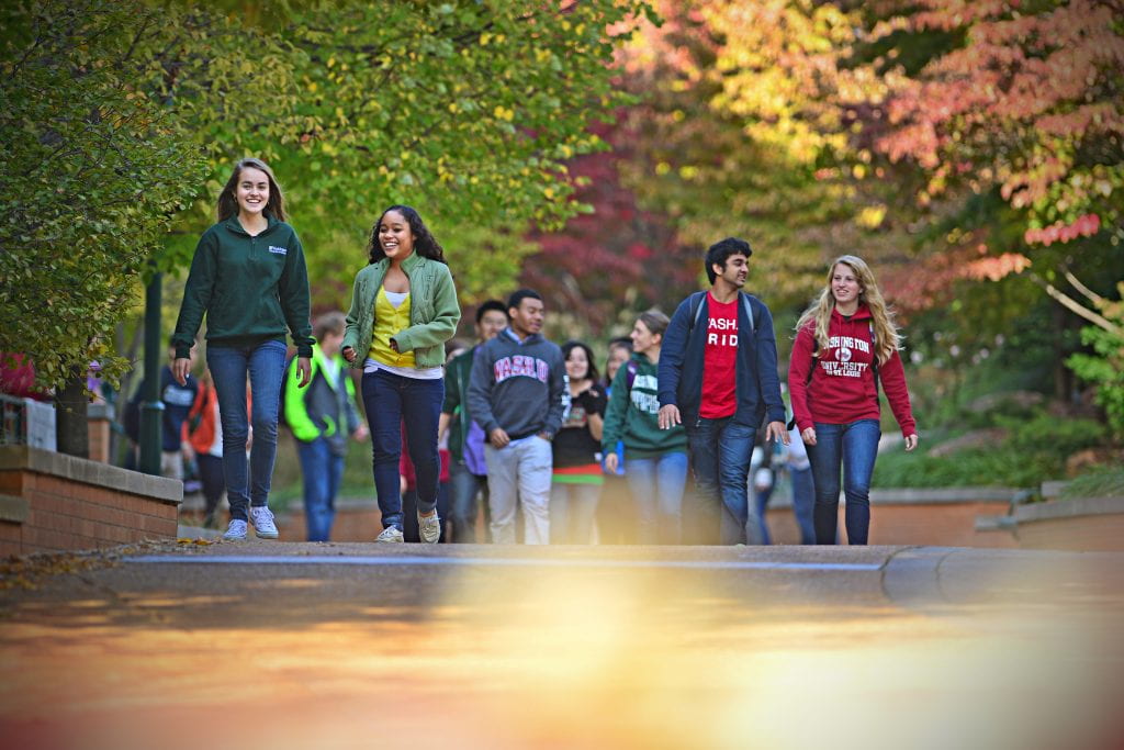 Students in WashU apparel walk outdoors in the fall